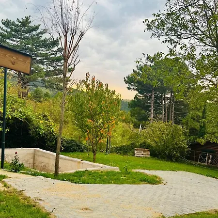 Uludag Vadi Konaklari * Bursa
